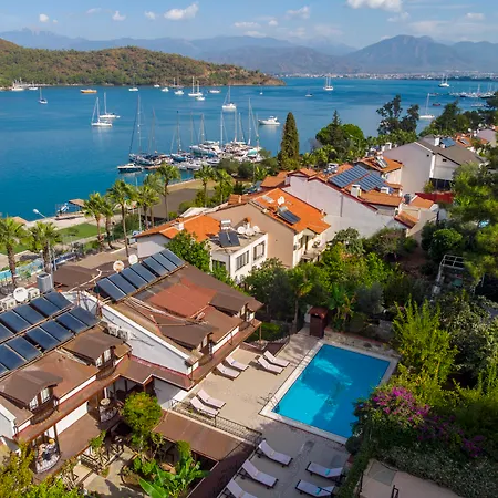 Daffodil Fethiye